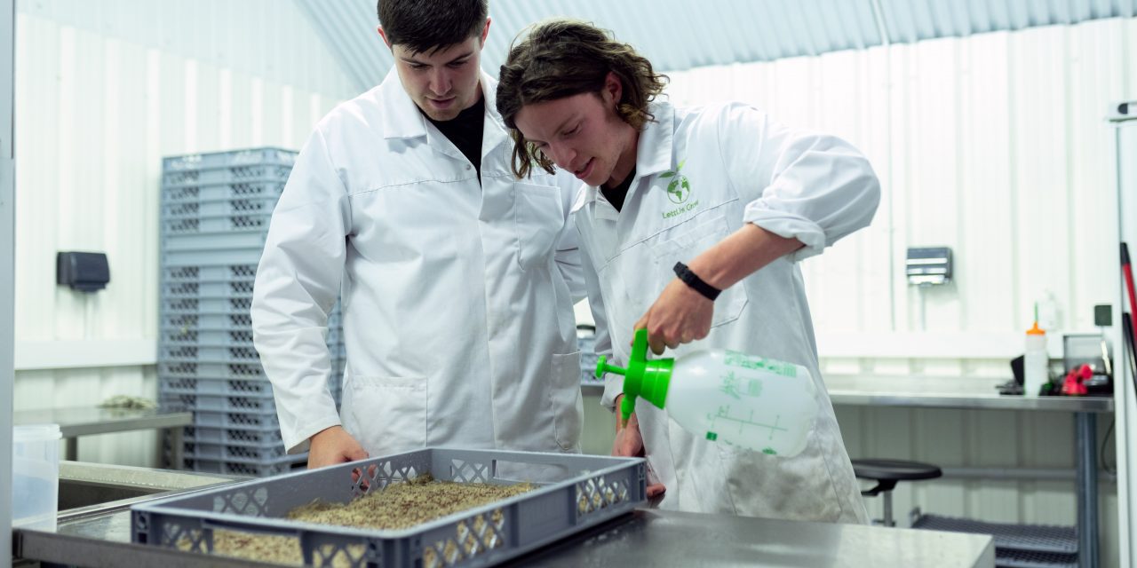 Efecto de los pesticidas, plaguicidas y herbicidas en el medio ambiente