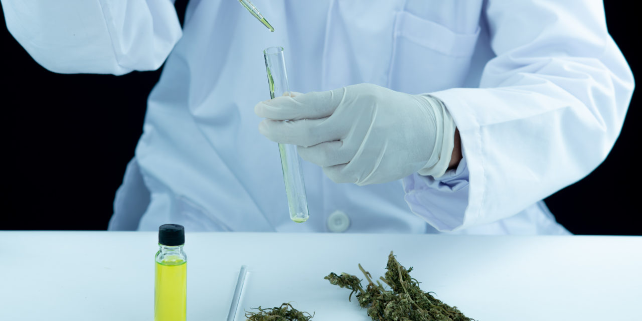 ¿Qué es y para qué sirve la medición de solventes en cannabis?