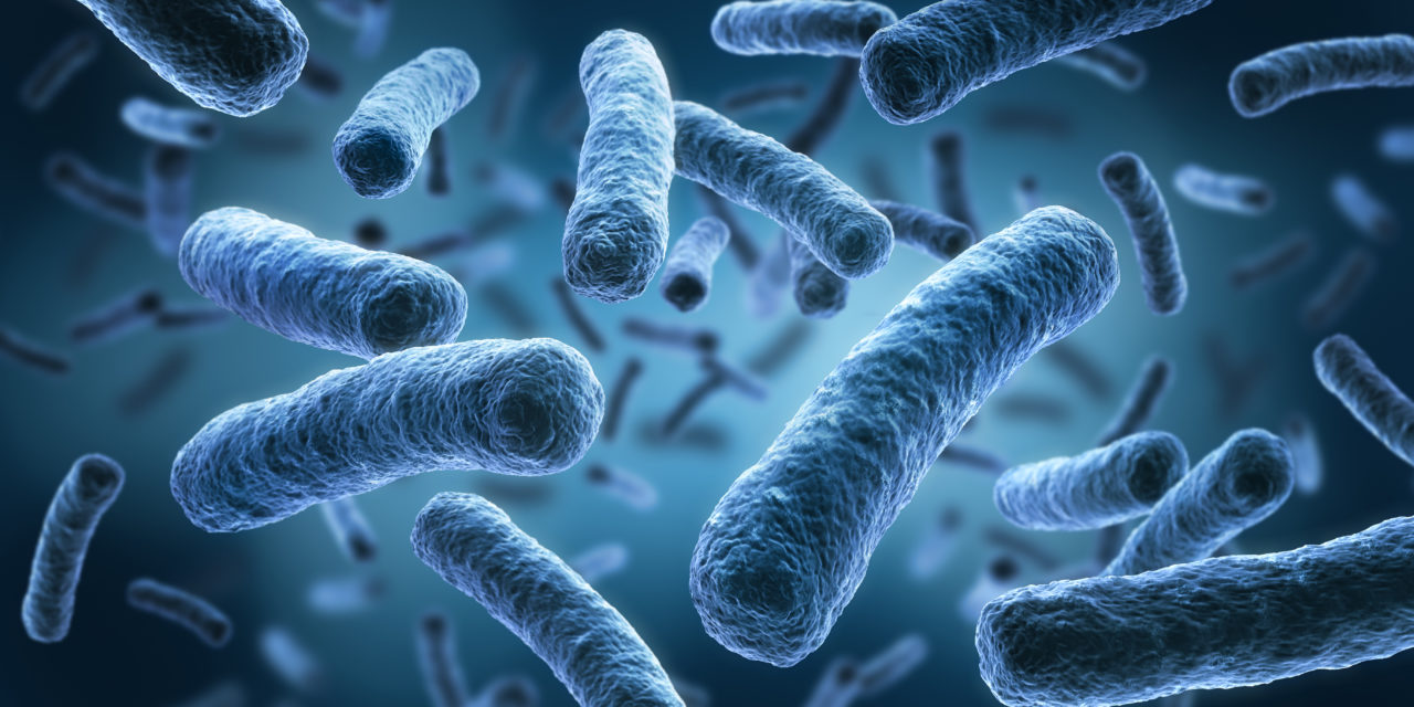 Derribando mitos sobre microorganismos y probióticos en alimentos