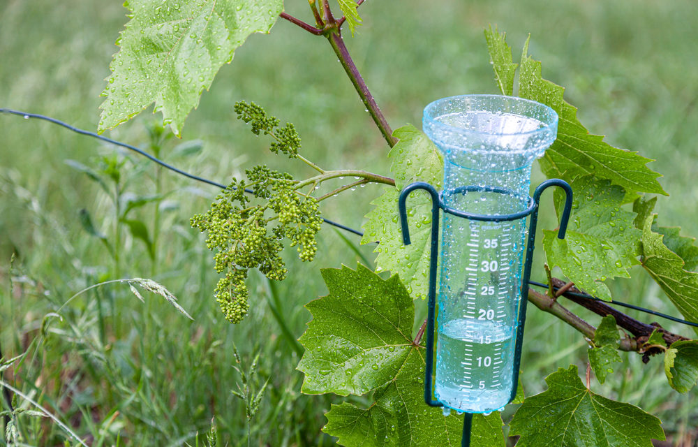 La importancia de medir los niveles de precipitación del agua