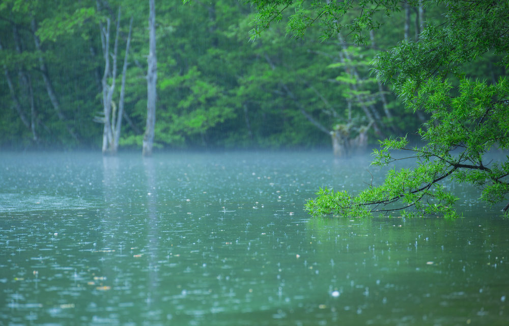 ¿Cuáles son las consecuencias de la lluvia ácida en la calidad del agua?